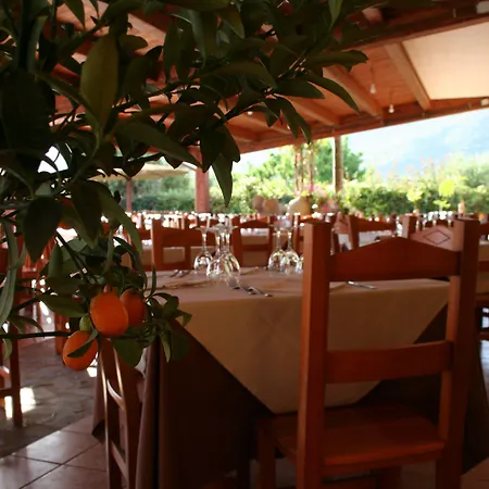 Ih Le Zagare 빌라시미우스